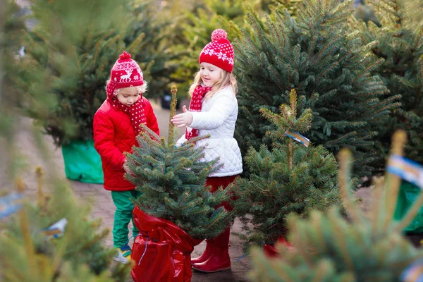 Mennyibe kerül idén a karácsonyfa? – Friss árak és trendek
