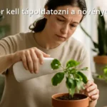 Mikor kell tápoldatozni a növényeket?